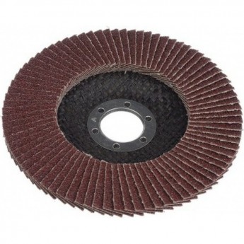 Круг лепестковый торцевой ВИХРЬ 125x22.2 мм, Р80